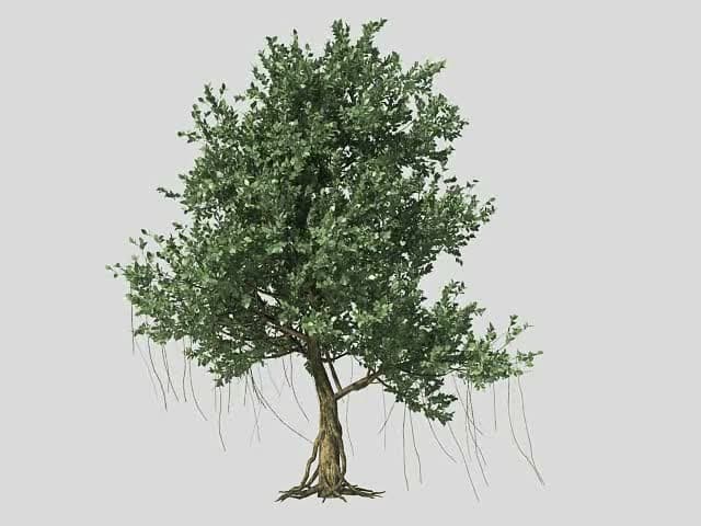 LevUp 3D 2.0 Sketchup + Vray + Photoshop – Lev Design